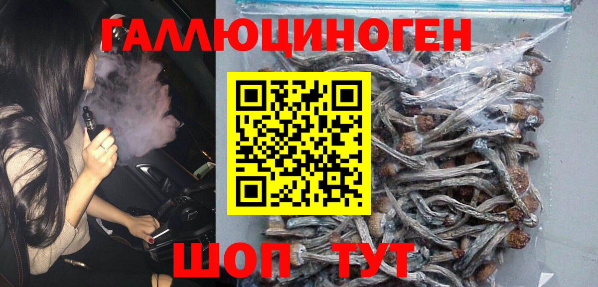 Азнакаево  Псилоцибиновые грибы Magic Shrooms  Вход с VPN 